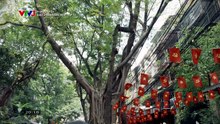 DƯỚI Ô CỬA SÁNG ĐÈN - TẬP 15 - PHIM VIỆT NAM VTV3 - DUOI O CUA SANG DEN