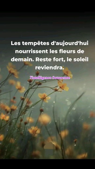 Ta vie ira mieux si toi tu vasmieux. Travaille d'abord surtoi-même, et le reste suivra.#lintelligencesouarence #reels #viralvideochallenge #inspiration #penseepositivedujour #motivation #viralchallenge #viralreelschallenge #citationdujour #shortsreels
