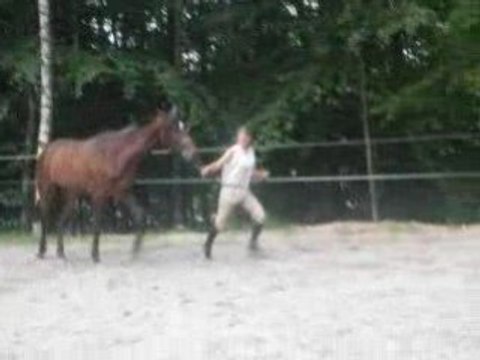 préparation concours modèles et allures