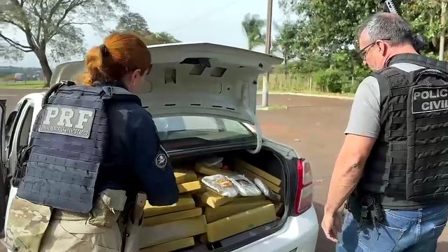 PRF e PCPR apreendem quase 400 quilos de maconha e prendem motorista em flagrante no Oeste do Paraná