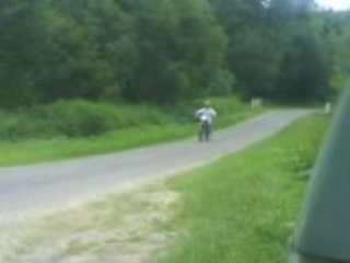 béta en lève ( petit)