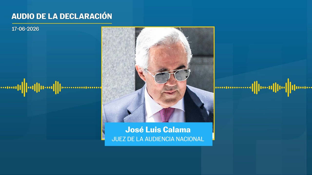 Las dudas del juez sobre Análisis Relevante