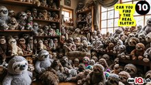 #YourEyesVsTheSloths 👀⚔️🦥 Can You Find the Real Sloth? 🦥