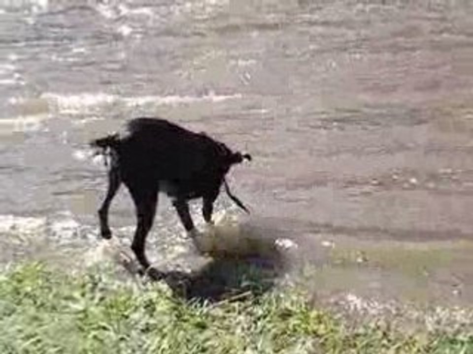 vacances de Mars 2007