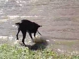 vacances de Mars 2007