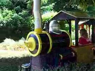 PARC D ATTRACTION WALYGATOR