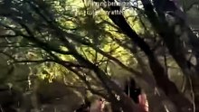 Wow, so beautiful