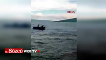 Çıldır Gölü’ne atlayan buzağı sandalla kurtarıldı; o anlar kamerada