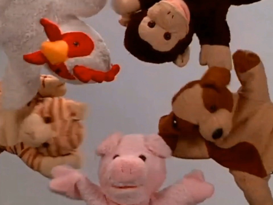 Redone Songs - Animal Groove : Brainy Baby (Pet Reveal Video)