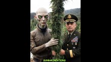 HEMP WE SHALL TOKE TONIGHT
