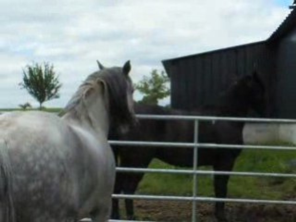 21 Juin 2008
