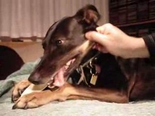 En gênant Keily!!! jeje