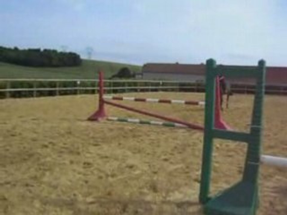 Stephnewinforum