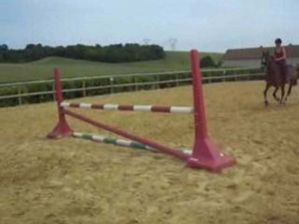 Stephnewin2forum