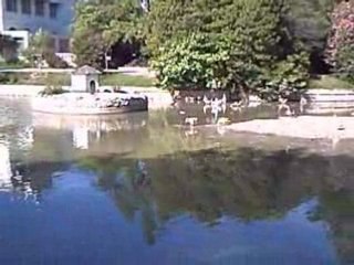 MARSEILLE LE PARC BORELY