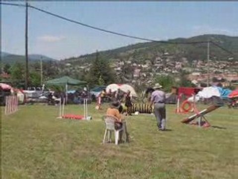 Biki 1er concours agility à annonay