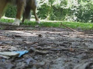 OBERYTHMEE AVEC COWBOY !