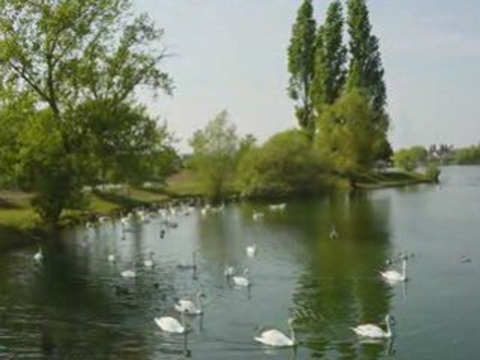 Le Cygne - Là-bas en Lorraine