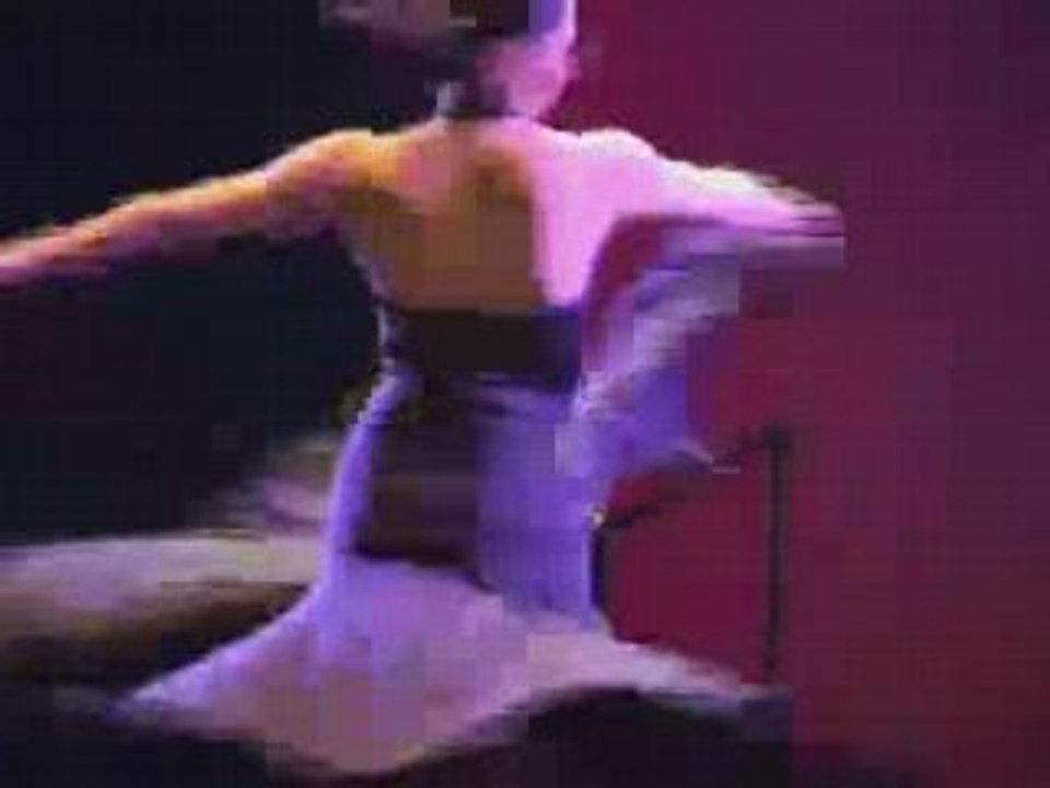 Bandeannonceinstanteflamenco[1]