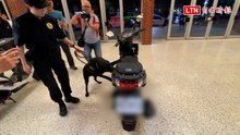 向毒駕宣戰！台中500警力擴大臨檢 緝毒犬「SPA」也出動