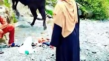 Bull fight funny video 2026 #foryou #trendingshorts #youtubeshorts #comedy #aianimation #usashorts