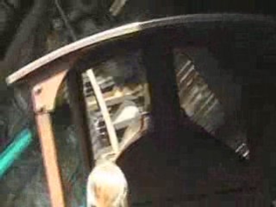 COLARADO ADVENTURE montagne russe looping  roller coaster