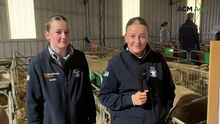 Sheep producers flock to Cowra for 40th NSW Poll Dorset Championships
