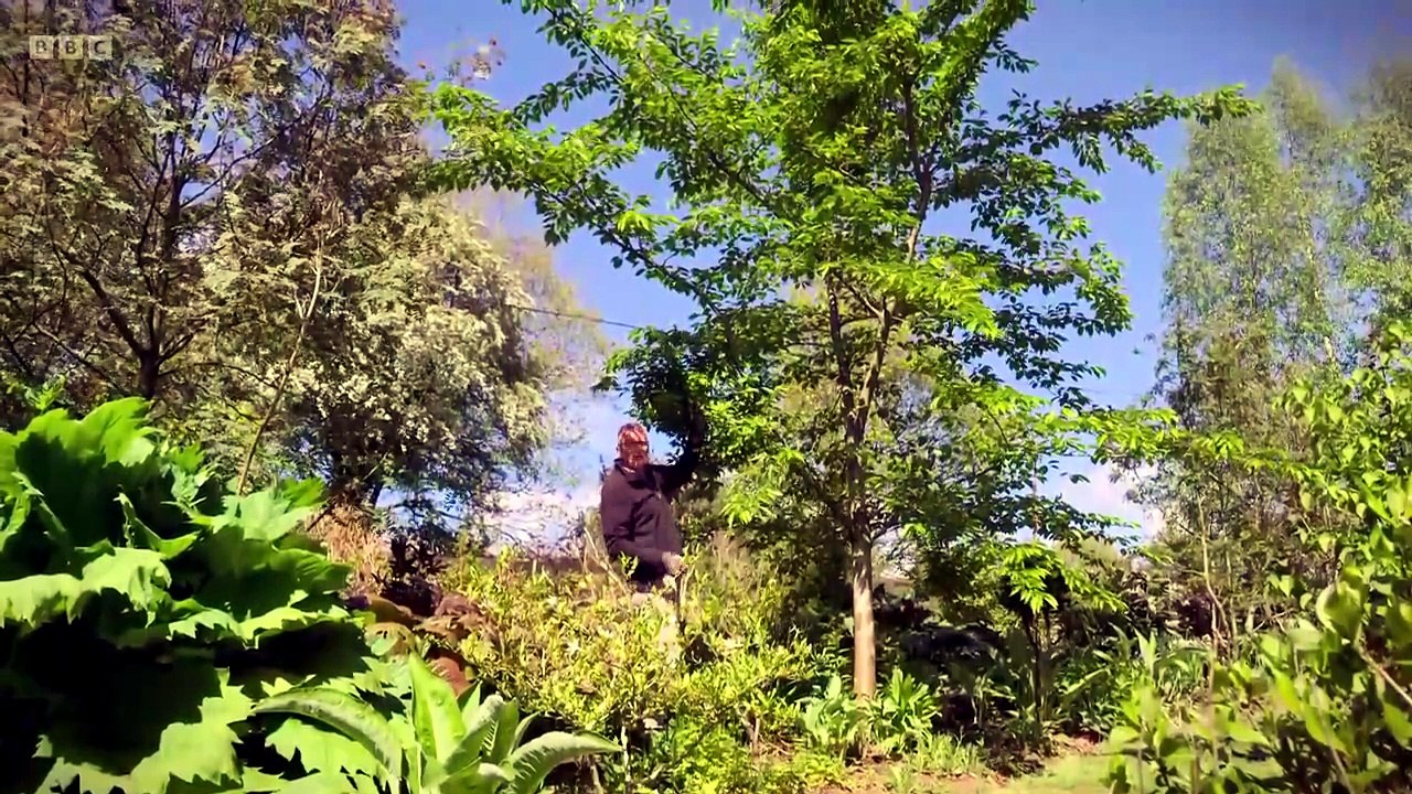 Beechgrove Garden [xagxdpi] Season 48 Episode 12 Full Episode HD Online