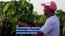 Καύσωνας στη Γαλλία: Έκτακτα μέτρα για τους εργαζόμενους στη γεωργία και άλλους τομείς