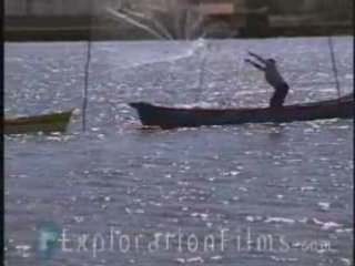 Dolphins Help Fishermen