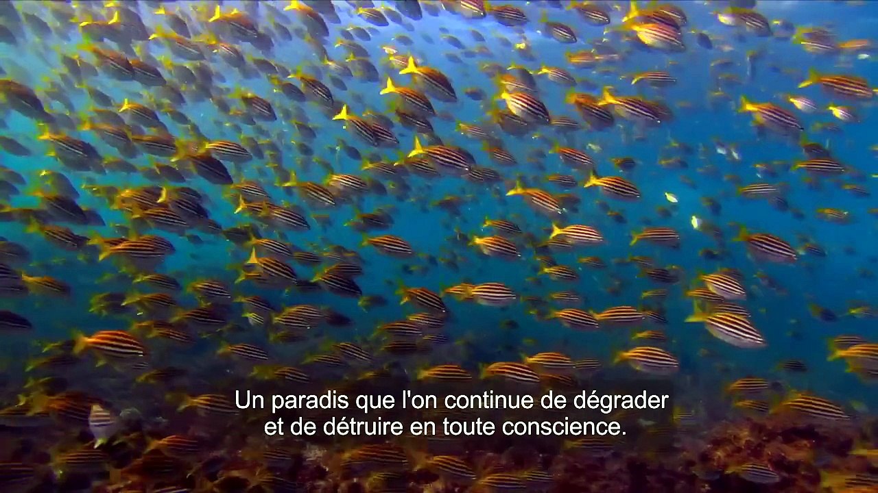 Avant le déluge