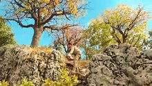 Building a Stone Shelter for Wilderness #building #shelter #survial #bushcraft #winter