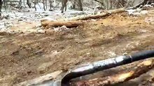 Building a Secret Underground Shelter Beneath a Tree for Wilderness Survival #building #survivalgames #bushcraft #shelter #winter