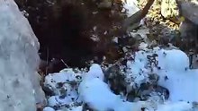 Building a stone shelter in the frozen wilderness. #building #bushcraft #shelter #survivalgames #winter