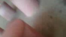 Hungry cat 2.2