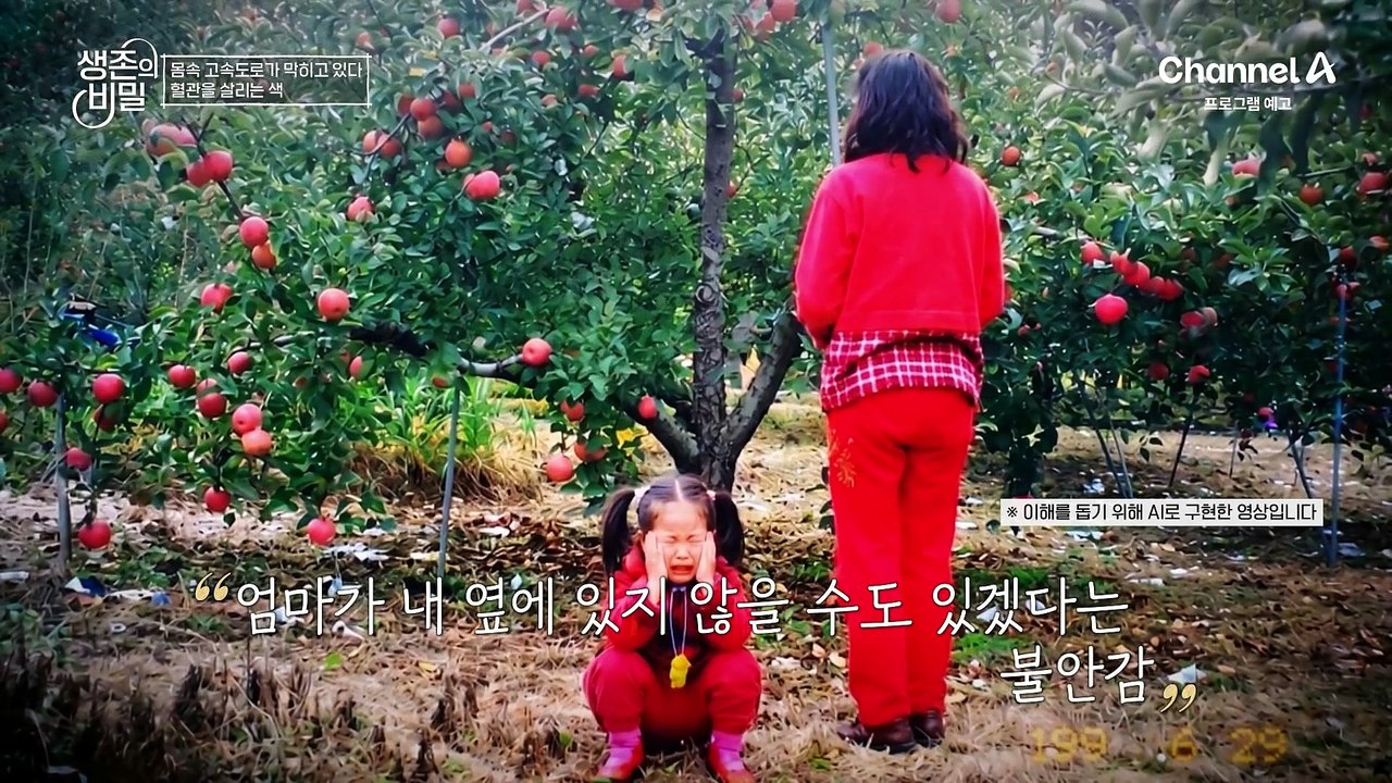 [예고] 모녀의 삶을 망가뜨릴 뻔한 당뇨병! 혈관을 되돌리는 비밀을 찾아라!