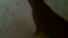 Morning cat 3