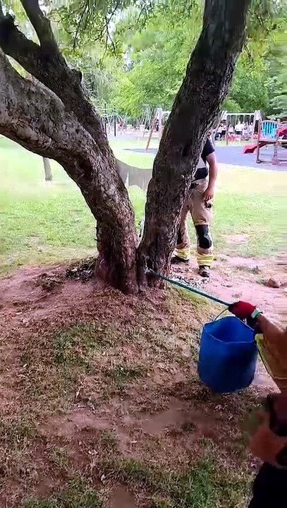 Aparece una víbora en un cumpleaños junto al Duero en Soria