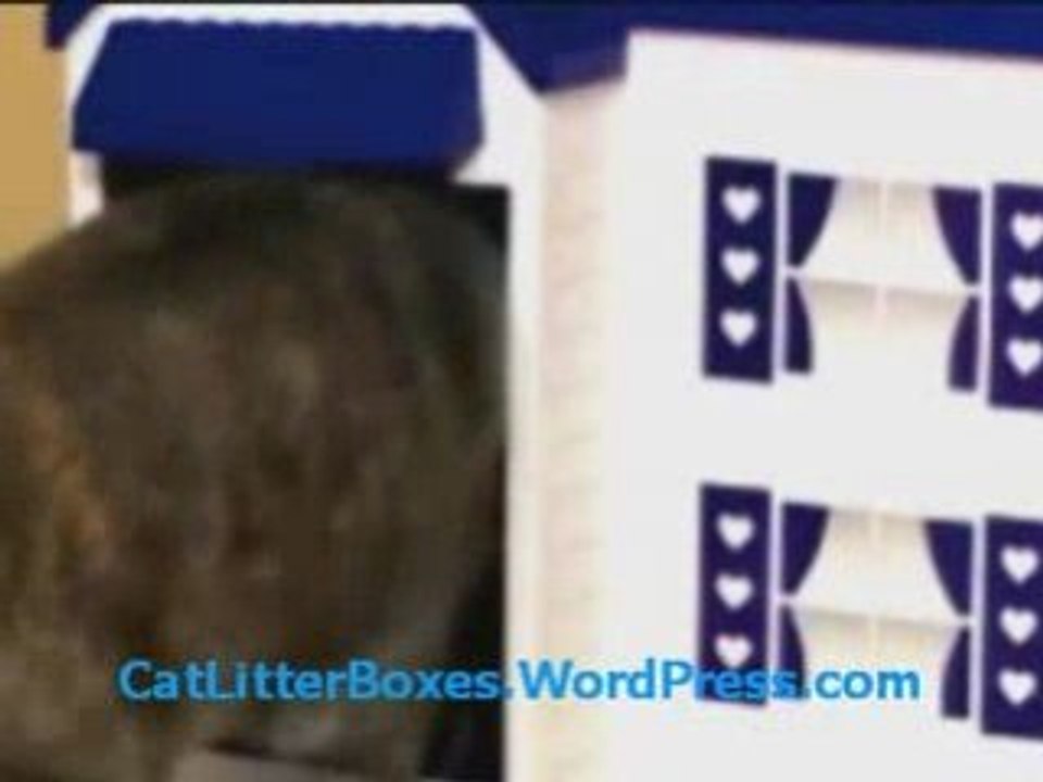 Deluxe cat litter boxes