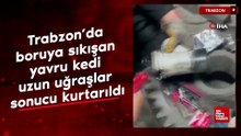 Trabzon’da boruya sıkışan yavru kedi uzun uğraşlar sonucu kurtarıldı