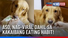 Aso, nag-viral dahil sa kakaibang eating habit! | GMA News Feed