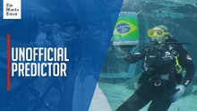 A Rio shark predicts Brazil win over Haiti at World Cup