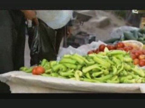 Antiquité L'Empire romain-Timgad la Rome africaine 2sur3