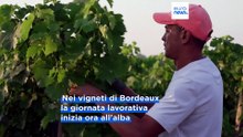 Ondata di caldo in Francia: agricoltura, scuole, treni e sanità sotto pressione