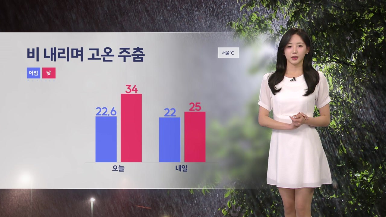 [날씨] 현재 전국 대부분 비...내일도 전국 강하고 많은 비 쏟아져 / YTN