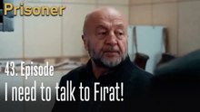I need to talk to Fırat!-Episode 43