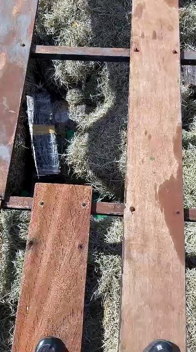 Motorista é preso com carga de 2,1 toneladas de maconha em Cidade Gaúcha