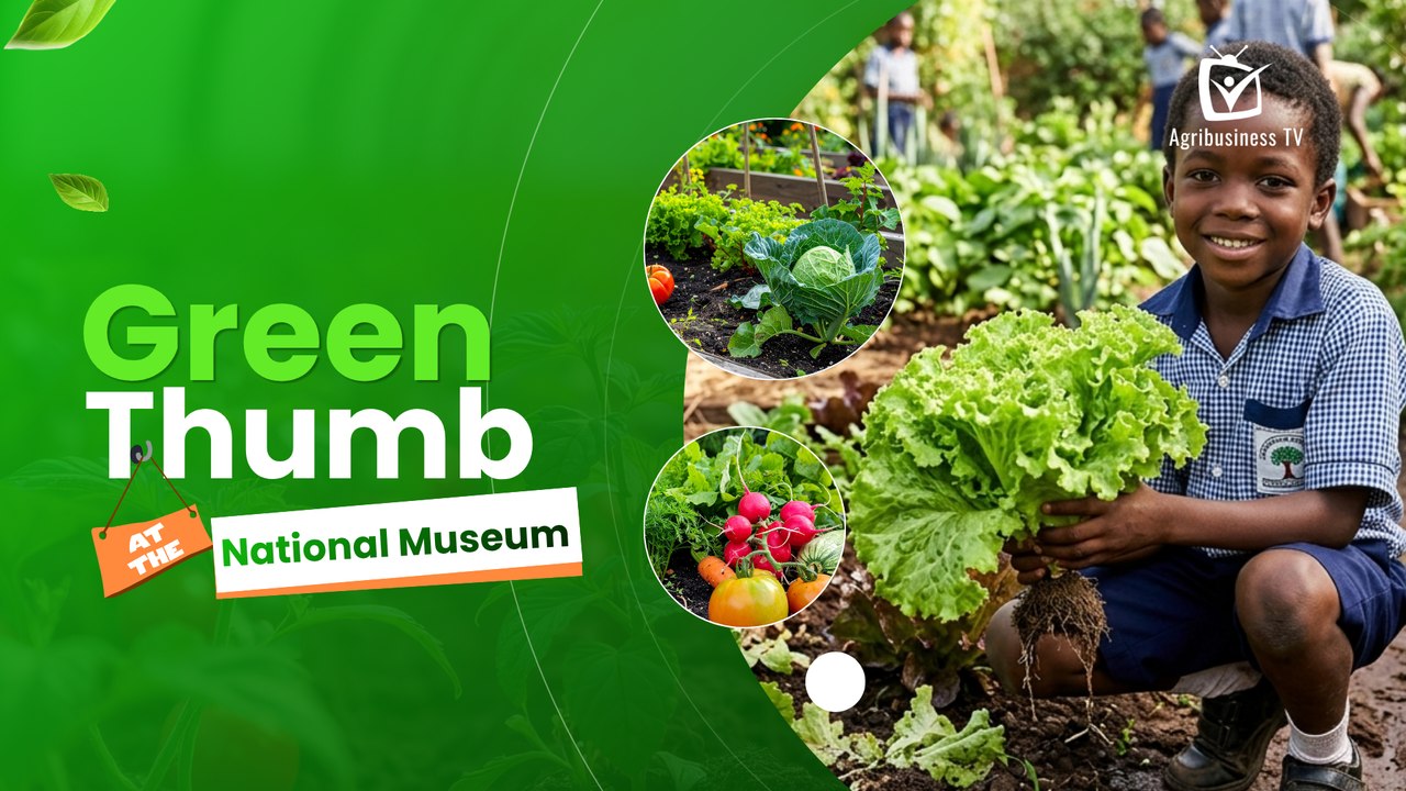 Green Thumb at the National Museum