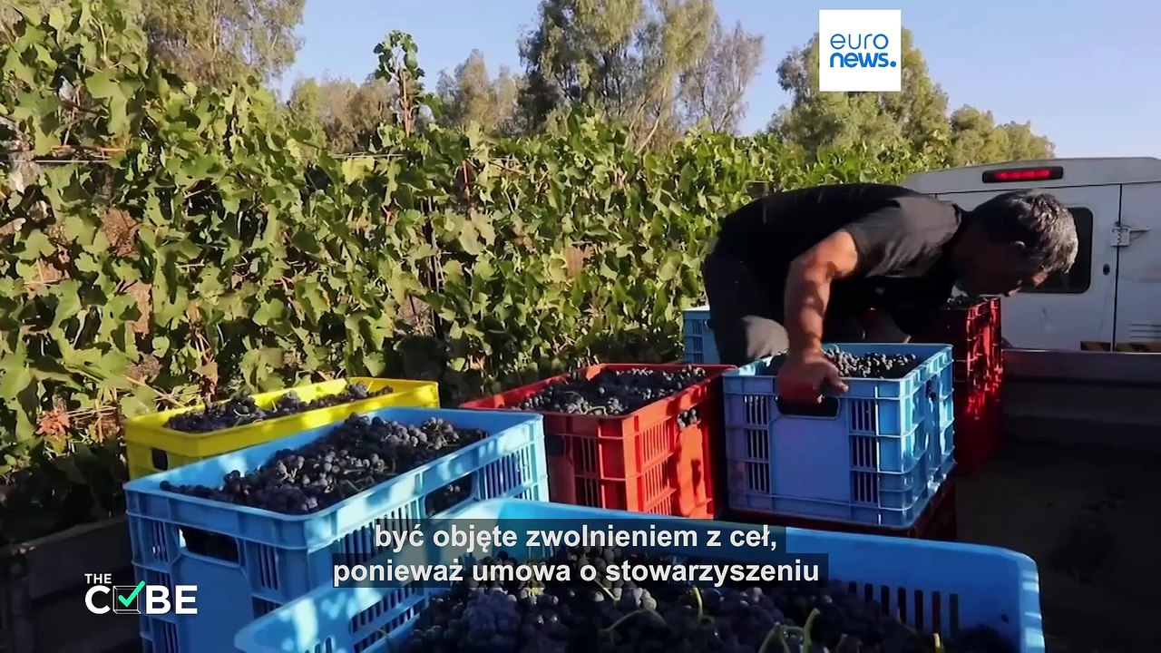 Fact-check: czy państwa UE mogą ograniczać import z izraelskich osad?