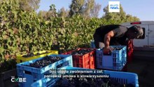 Fact-check: czy państwa UE mogą ograniczać import z izraelskich osad?